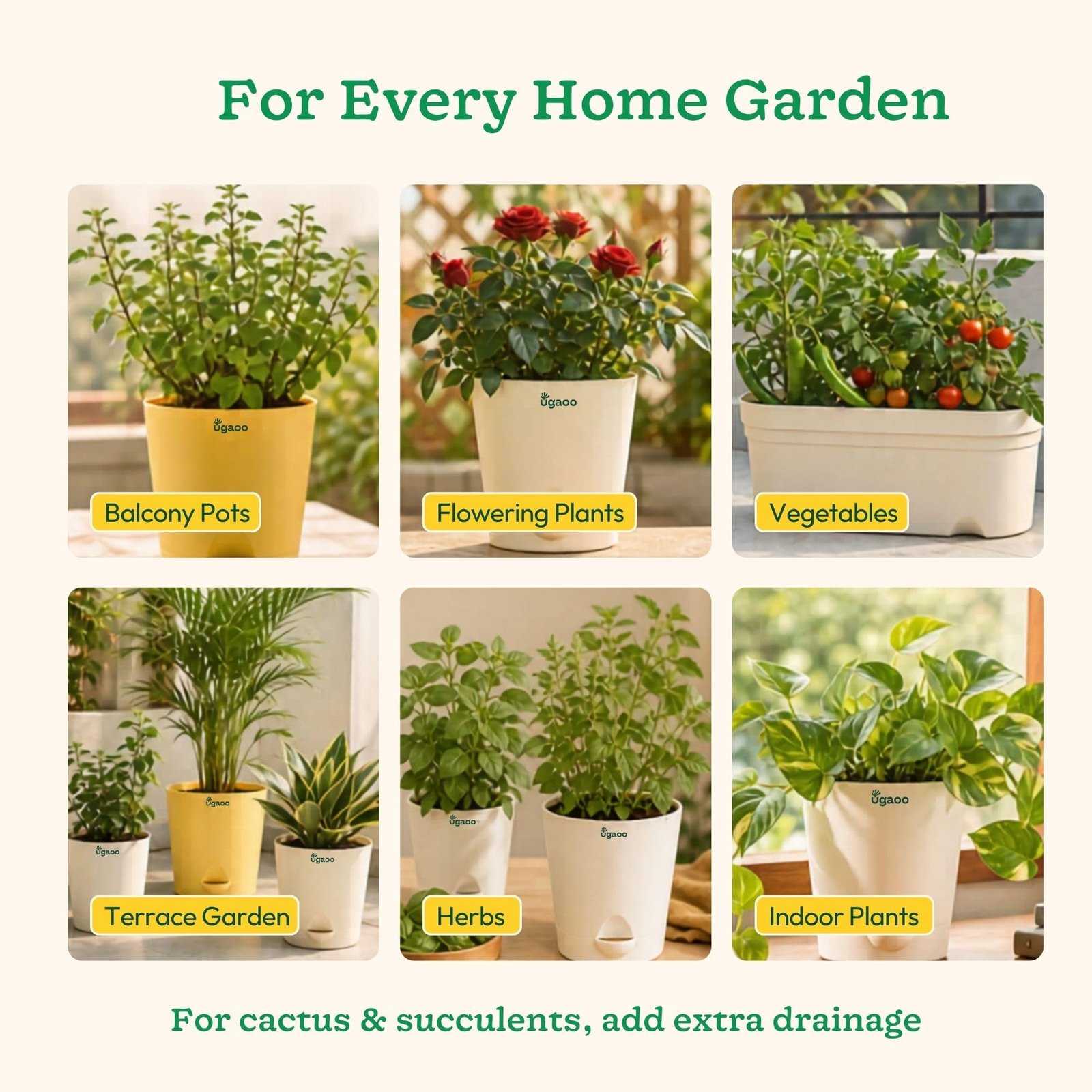 Ugaoo Ready-to-Use Potting Soil for Plants 5 Kg | Organic Potting Mix with Red Soil and Cow Manure for Indoor Outdoor and Flowering Plants | Ideal for Home Pots Balcony, Terrace & Repotting - Image 9
