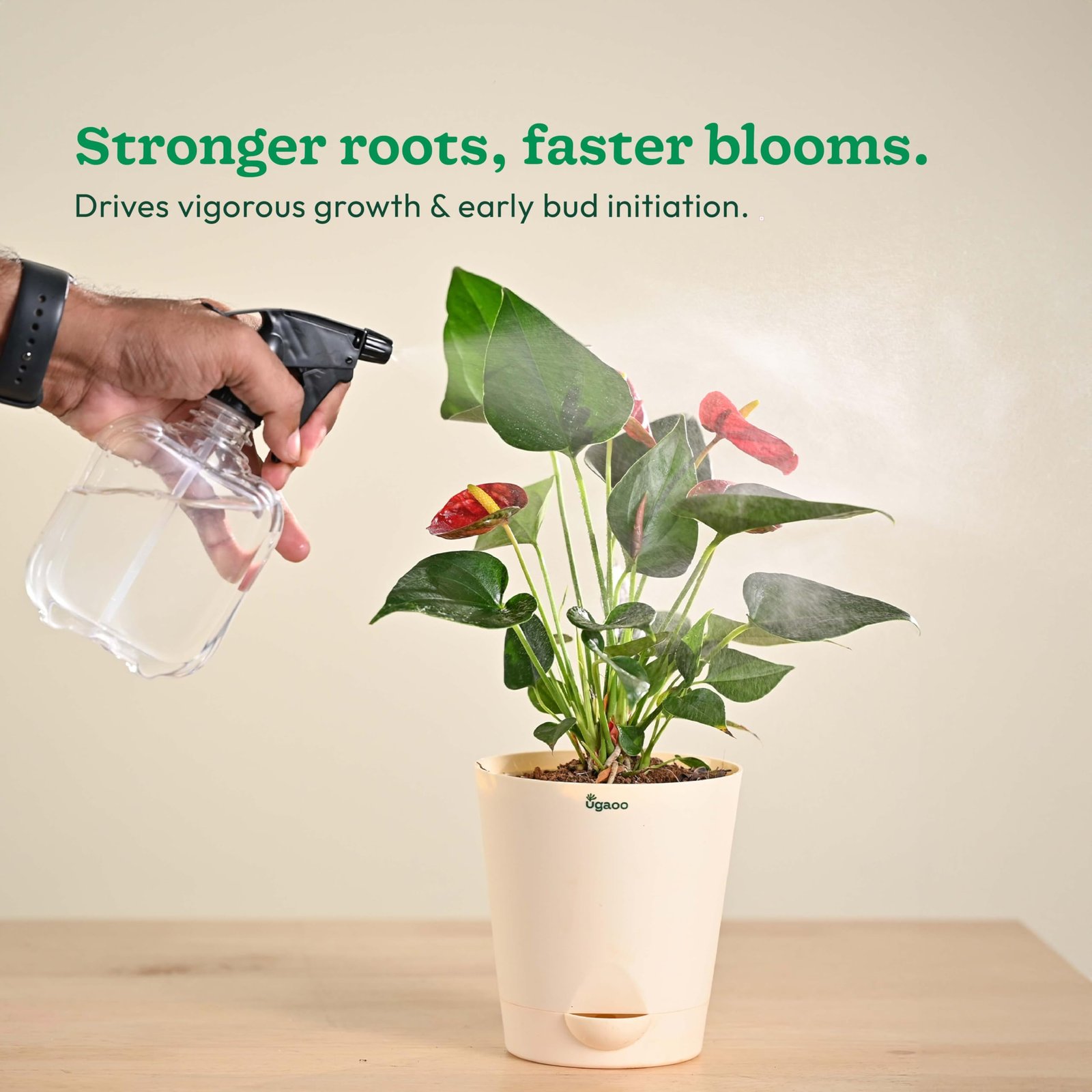 Ugaoo InstaGrow NPK 13:00:45 Fertilizer (250g) | High Potassium Water-Soluble Fertilizer for Fruit & Flower Quality | Boosts Yield & Sweetness - Image 7