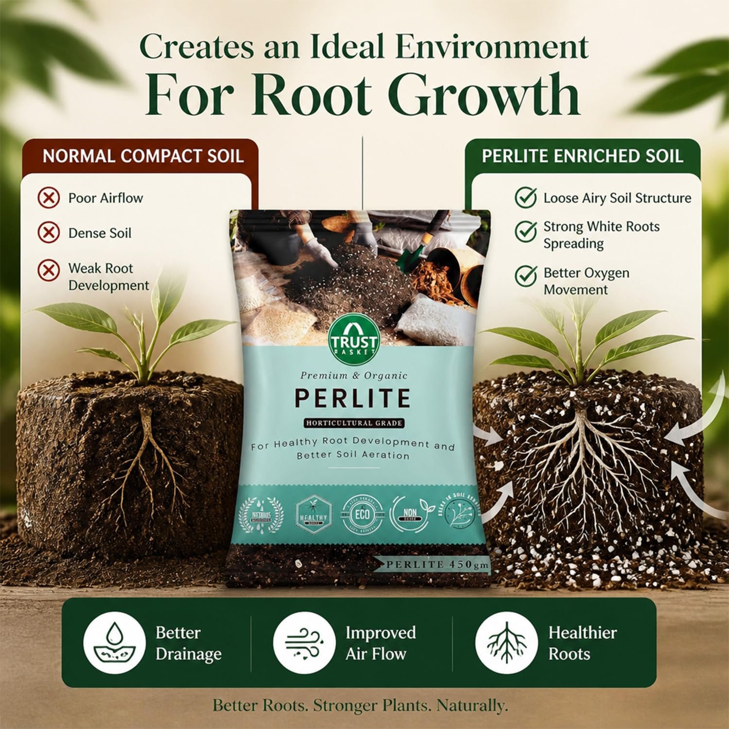 TrustBasket Perlite for Plants Soil Additive Horticultural Grade - for Indoor, Outdoor Plants and Hydroponics 450 gm (Set of 2) - Image 4