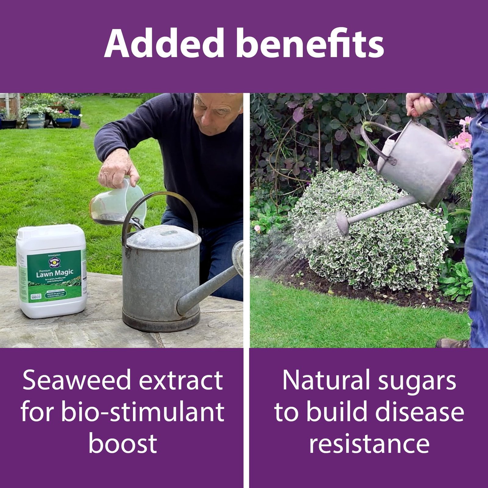 Richard Jackson Premium Lawn Magic, Lawn Feed for Gardens, Greens the Grass & Strengthens the Roots (5L) - Image 5
