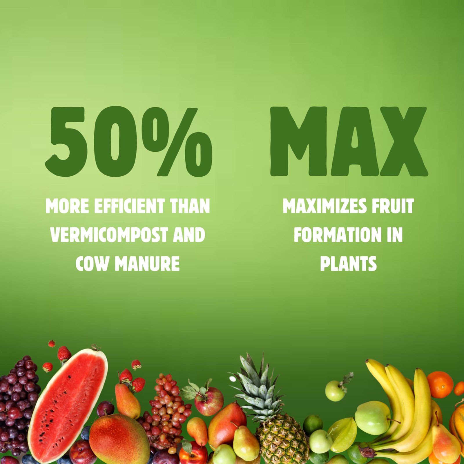 BloomBuddy Plant Fertilizer 1kg Granules – 100% Organic NPK Rich Growth,Flower & Fruit Booster | Fertilizer for Plants Home Garden, Pot Plants,Indoor Plant Fertilizer,Plant Food,Potted Plant Nutrients - Image 6