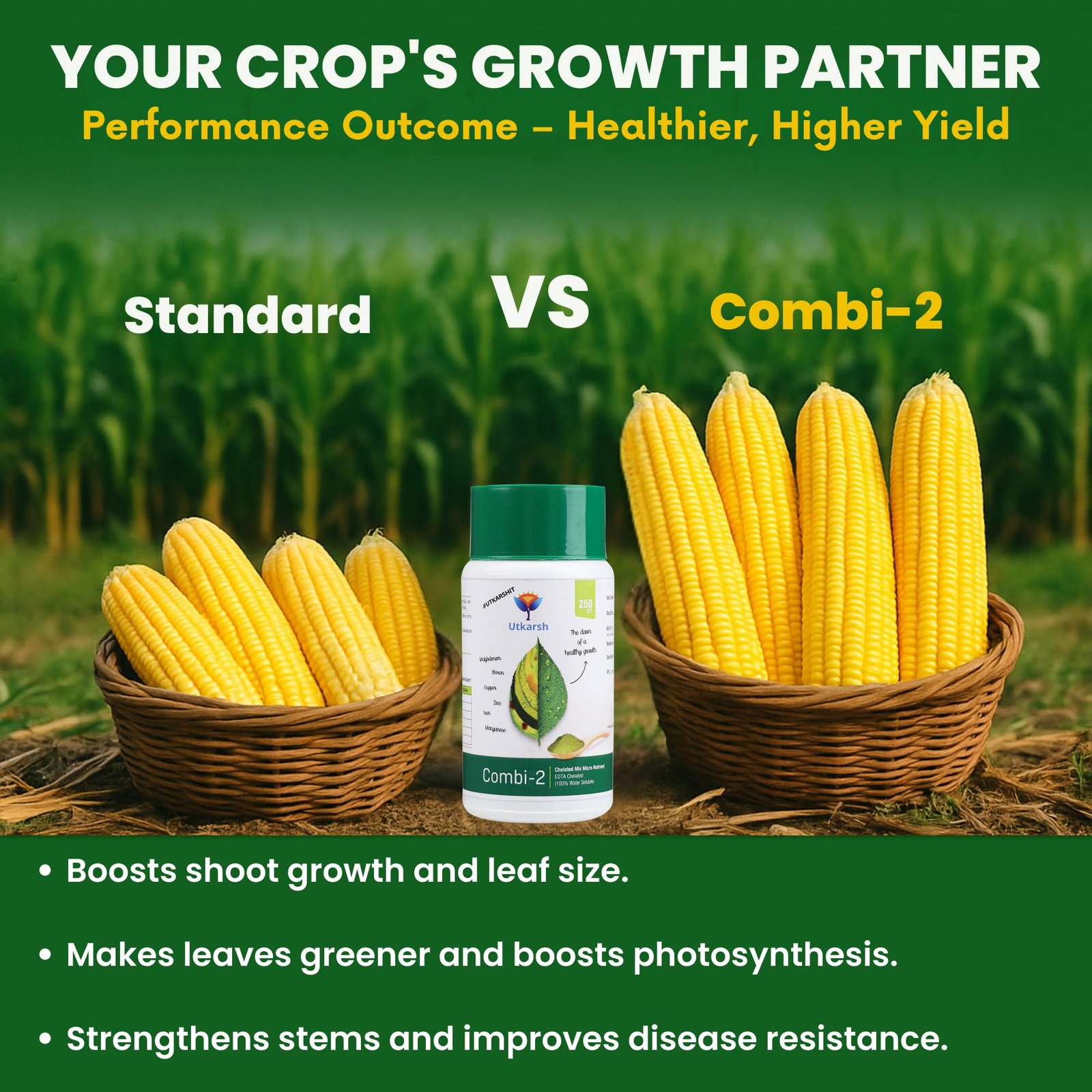 Utkarsh Combi-2 (EDTA Chelated Fertilizers, Mix Micronutrient) Prevents Mix Crop Deficiencies, Keeps Plants/Home Garden Healthy, Improves Crop Yield & Quality (500 gm; Pack of 1) - Image 4