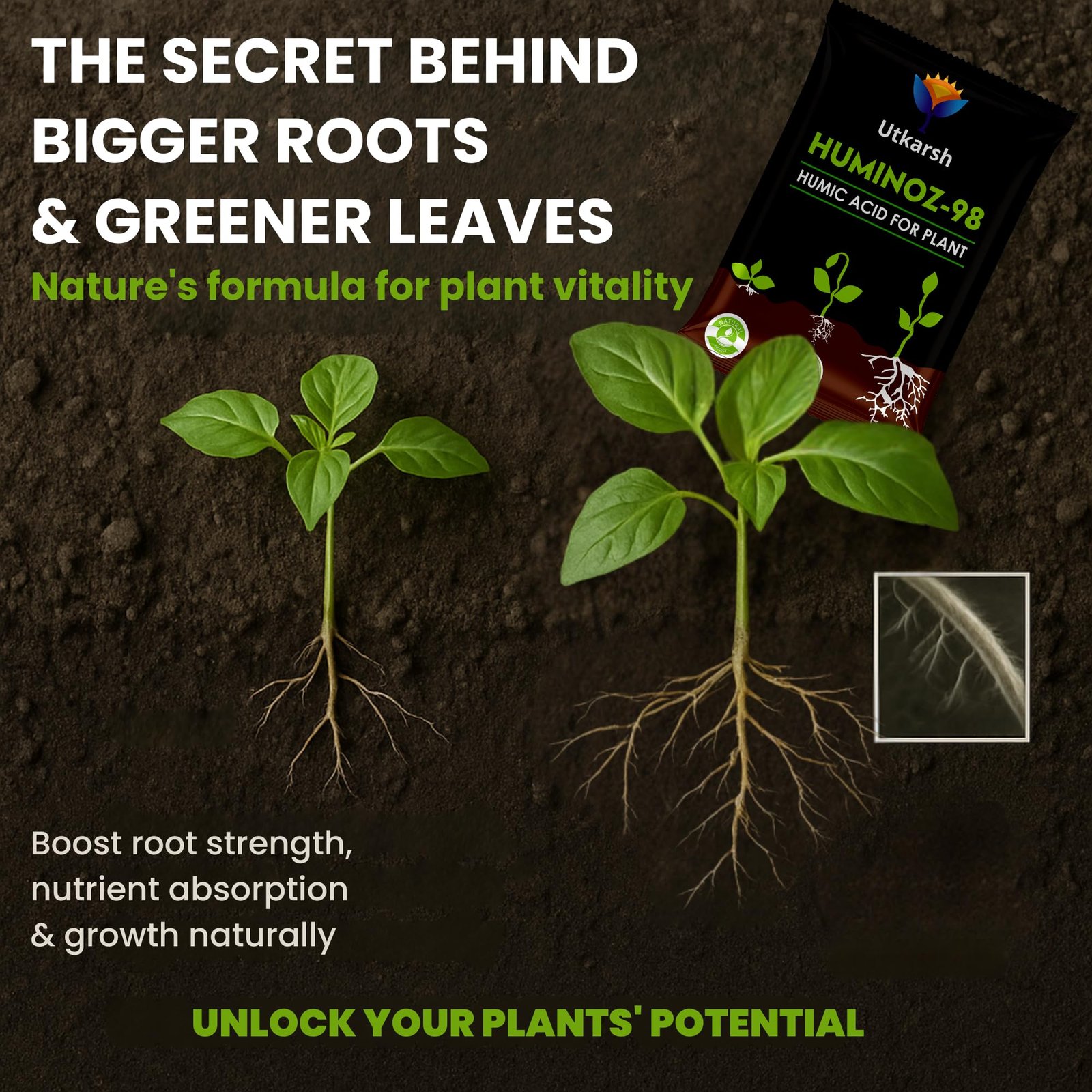 Utkarsh Huminoz-98 Humic Acid (98%) for Plants | Fertilizer for Potted Plants, Home Garden, Growth Enhancer, Soil Conditioner, Improves Root System | (Set of 1; 250 gm) - Image 3