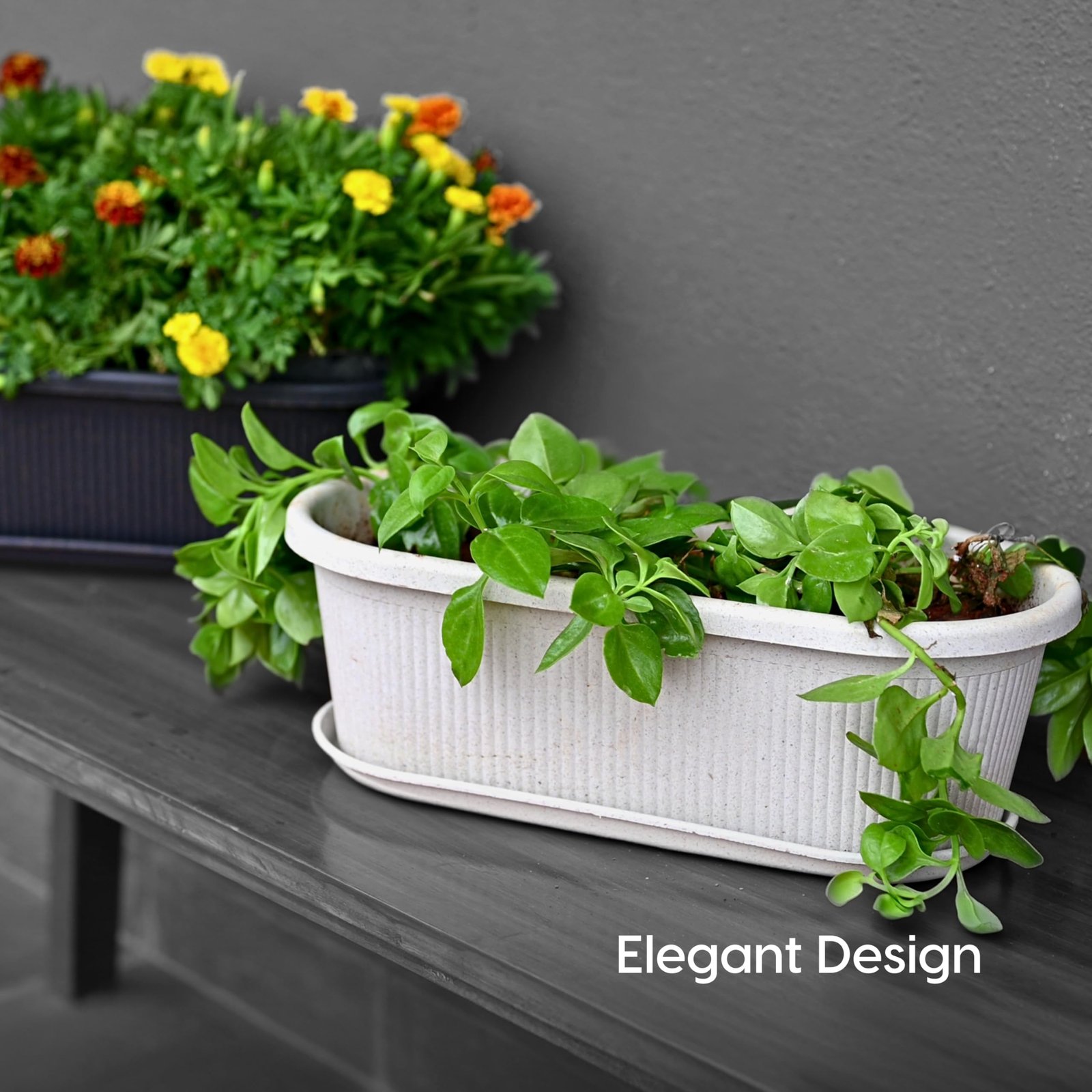 Eha Earth Friendly Regalia 12 Inch Pots and Planters Set of 2 | Bamboo Based, UV Protected | Plant Pots for Indoor & Balcony Window Flower Pots | Sand Castle - Image 8