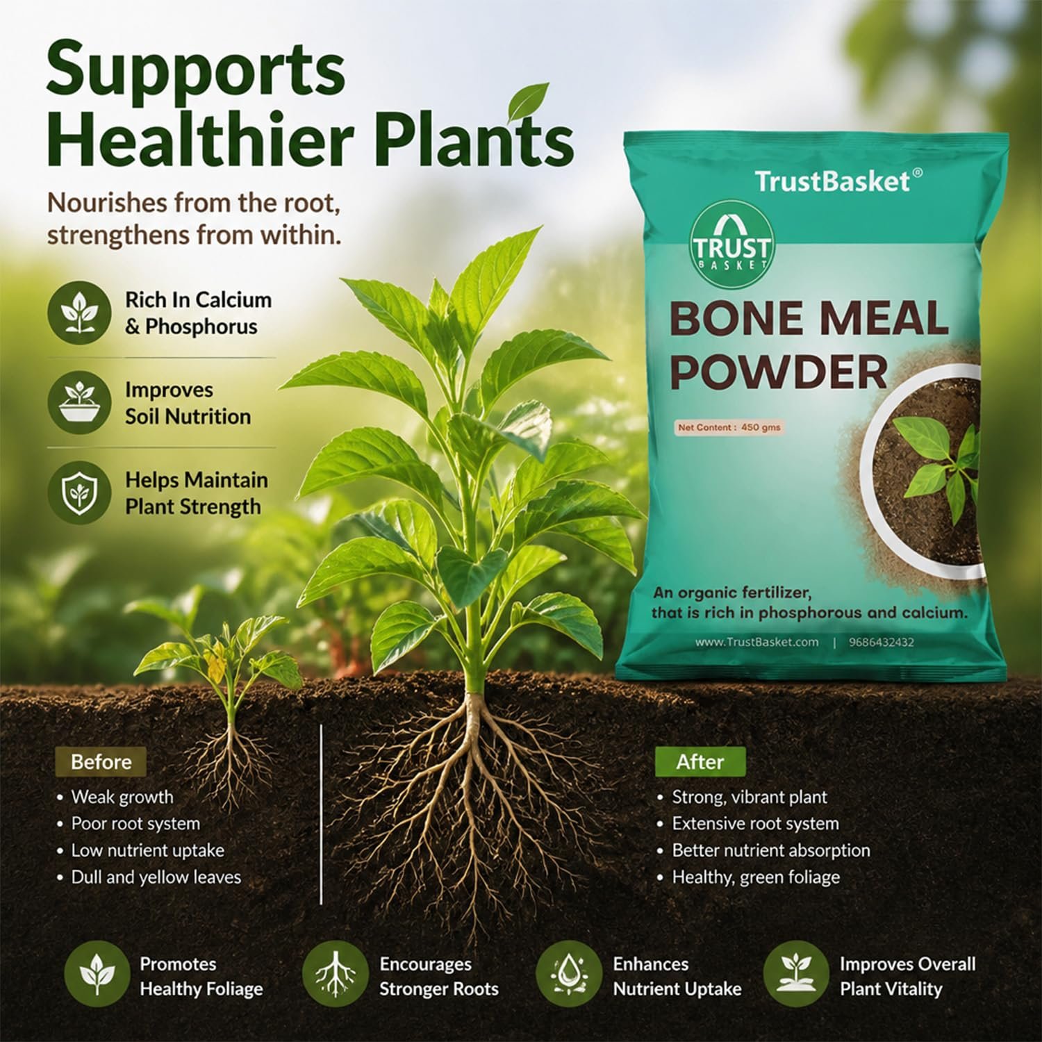TrustBasket Bone Meal Fertilizer for Plants, 900 gm, Phosphorus and Calcium Rich | Fertilizer for Plants Home Garden | Steamed Bone Meal | Rich in | Natural Plant Fertilizer| 450 Grams (Set of 2) - Image 5