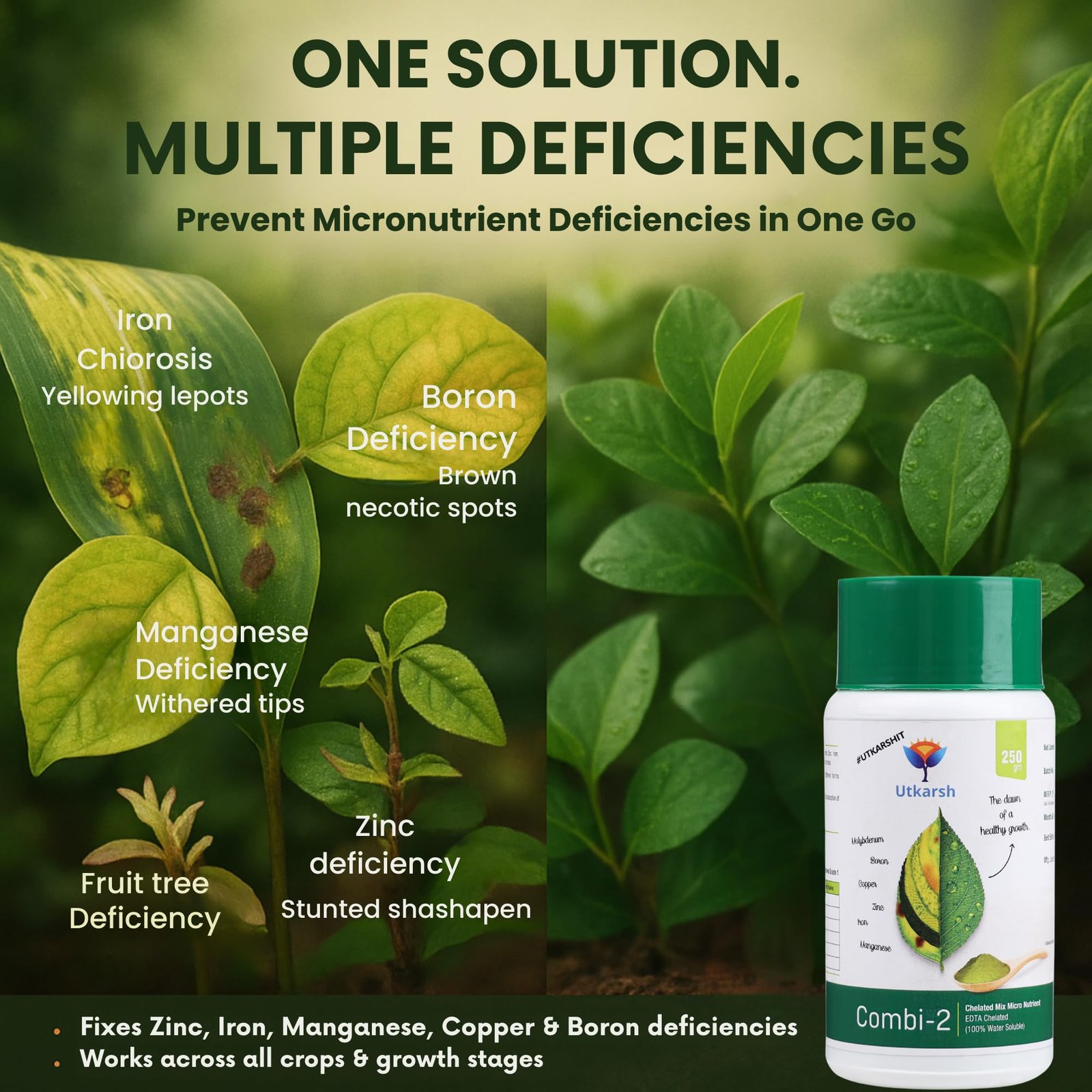 Utkarsh Combi-2 (EDTA Chelated Fertilizers, Mix Micronutrient) Prevents Mix Crop Deficiencies, Keeps Plants/Home Garden Healthy, Improves Crop Yield & Quality (500 gm; Pack of 1) - Image 2