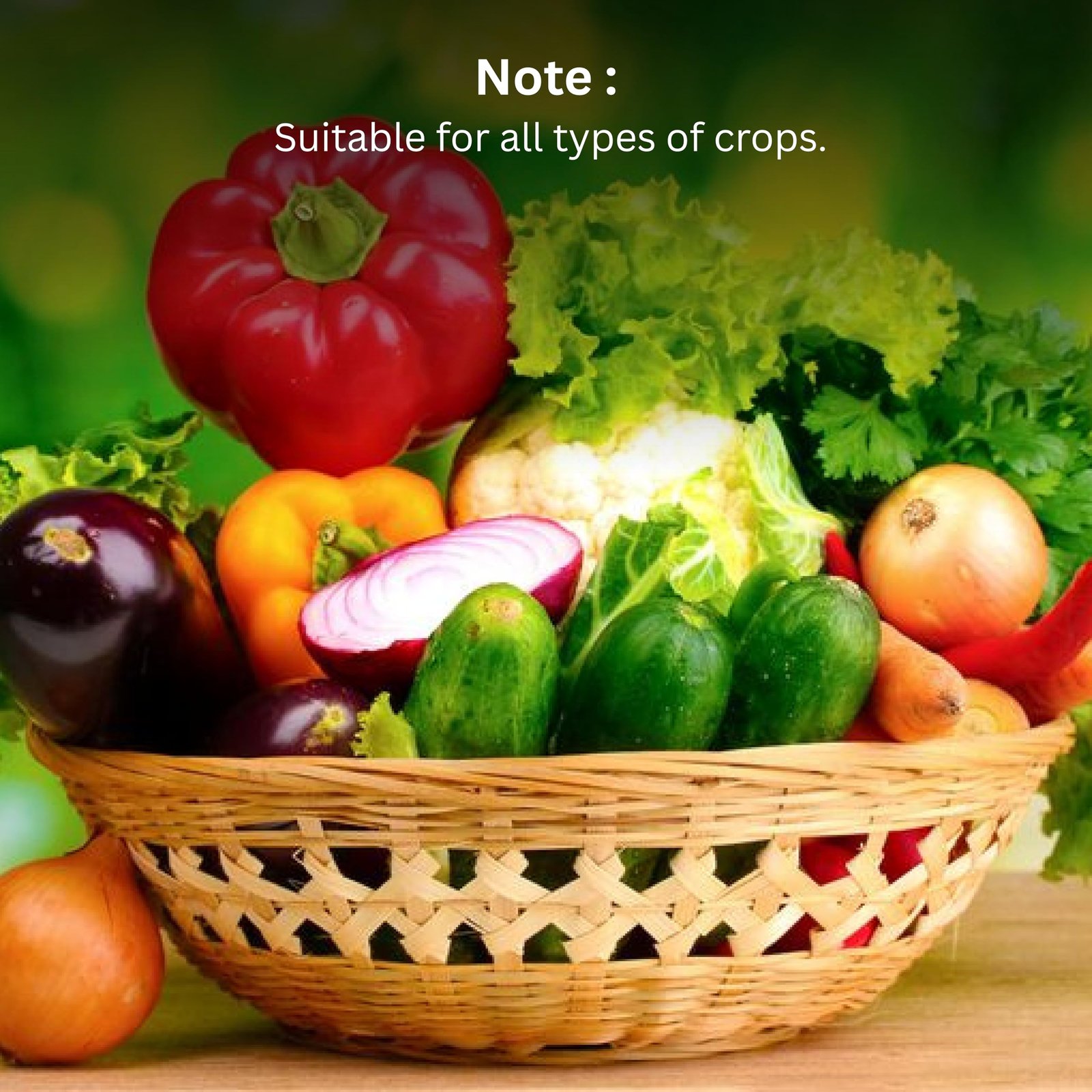 NOVASOLIS NPK 10:54:10 Fertilizer - Water Soluble High Phosphorus Fertilizer | Complete Plant Nutrition for Gardening, Growth Boost & Flowering (10 Kg) - Image 7