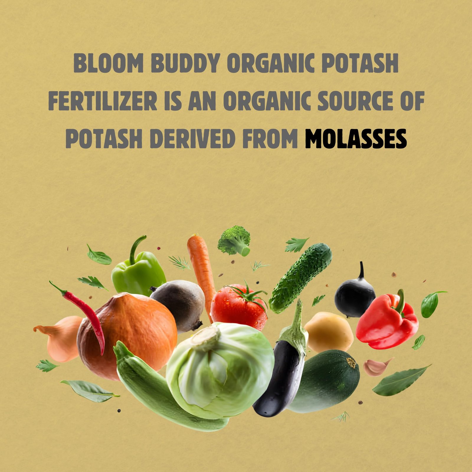 Bloom Buddy Organic Potash Fertilizer – 1kg | Boosts Root, Flower & Fruit Growth | Slow-Release Natural Potassium for Home Garden, Terrace & Indoor Plants | Safe, Eco-Friendly Soil Enricher - Image 5