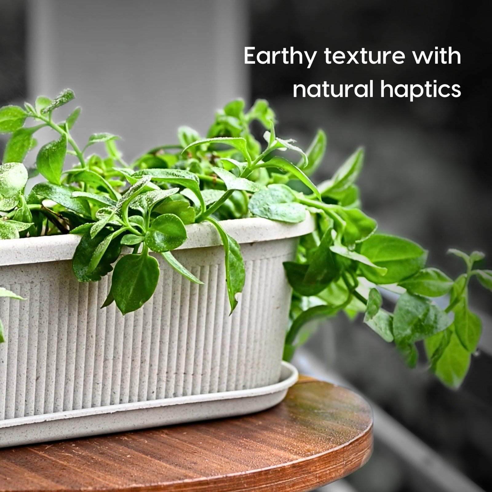 Eha Earth Friendly Regalia 12 Inch Pots and Planters Set of 2 | Bamboo Based, UV Protected | Plant Pots for Indoor & Balcony Window Flower Pots | Sand Castle - Image 5