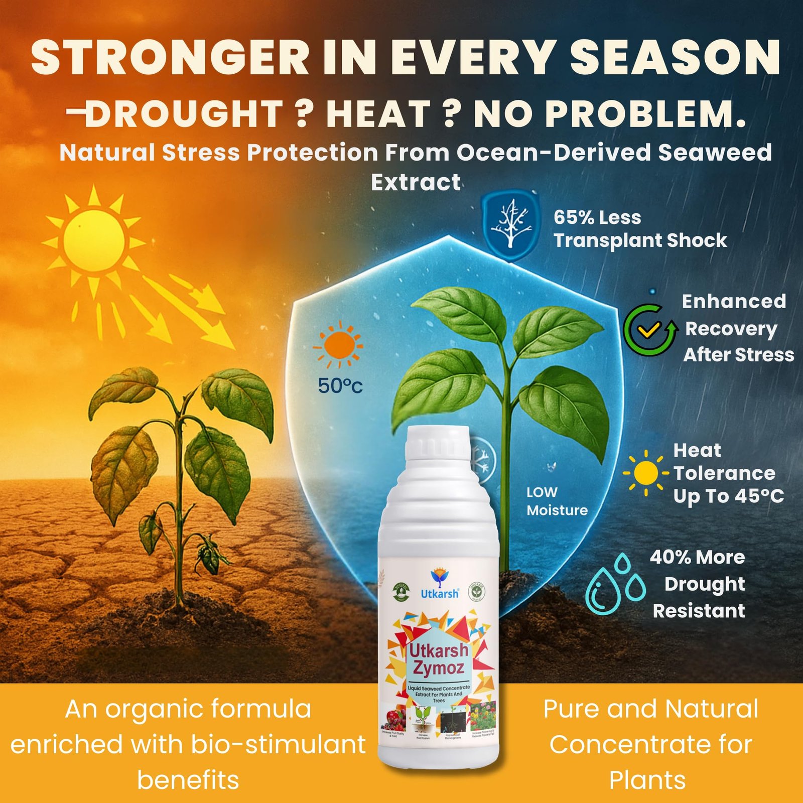 Utkarsh Liquid Seaweed Extract | Organic Plant Growth Promoter for Healthy Plants | Enhances Flowering & Improves Fruit Set | Biostimulant For Home Garden - Zymoz (250 ml; Pack of 1) - Image 3