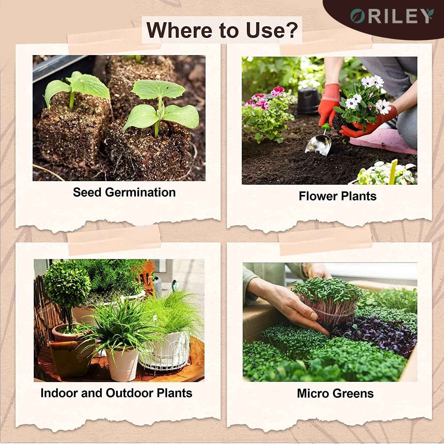 Oriley 5 Kg 100% Natural Cocopeat Block for Garden Plants Organic Agricultural Compost Coco Peat for Indoor & Outdoor Fertilizer Kitchen Terrace Gardening Khaad (Expands Upto 75 litres of Powder) - Image 5