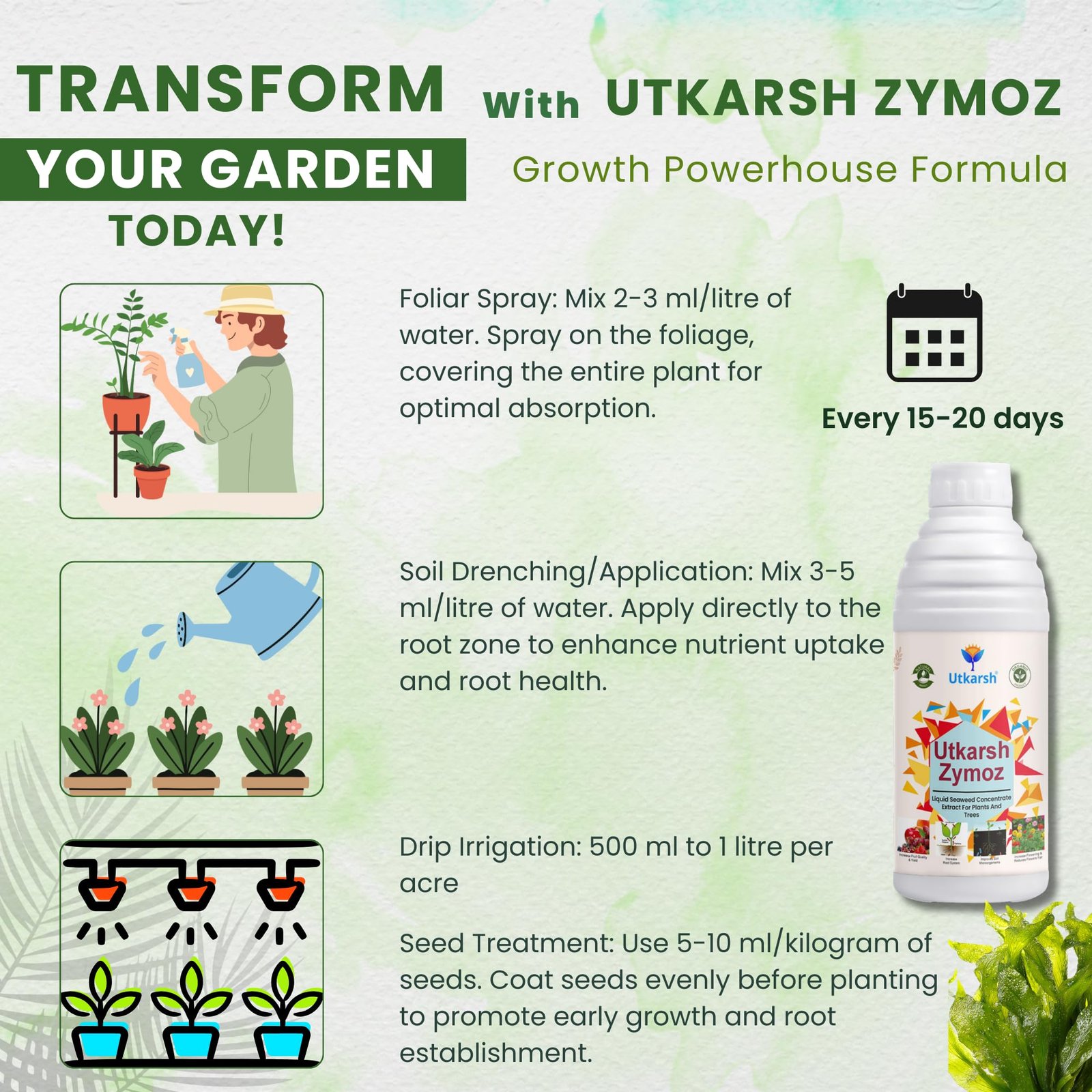 Utkarsh Liquid Seaweed Extract | Organic Plant Growth Promoter for Healthy Plants | Enhances Flowering & Improves Fruit Set | Biostimulant For Home Garden - Zymoz (250 ml; Pack of 1) - Image 7