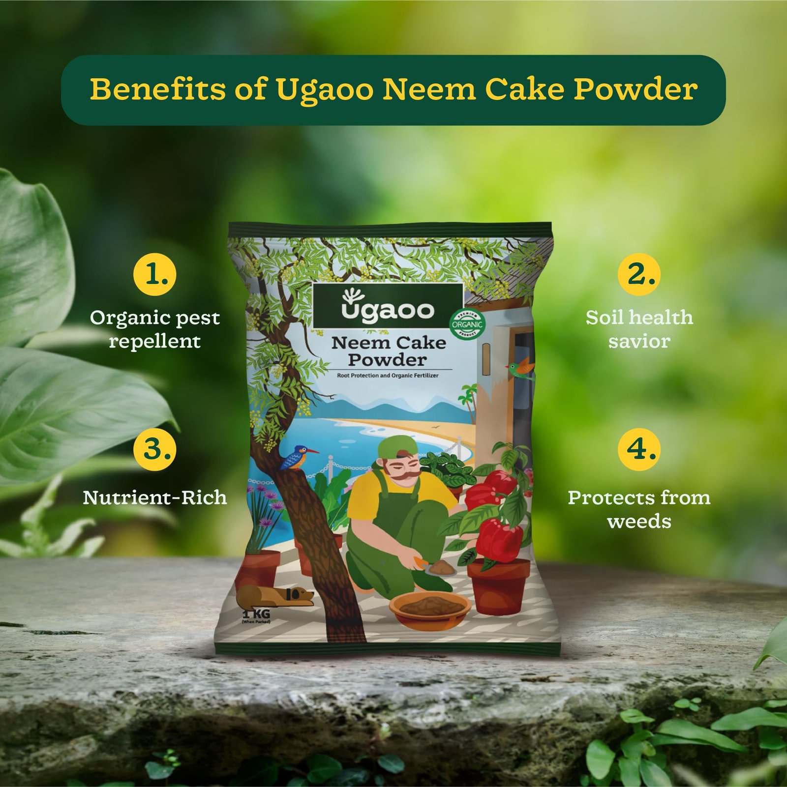 Ugaoo Neem Cake Powder for Plants 1 kg | Organic Neem Khali Fertilizer & Soil Conditioner | Slow-Release Plant Food for Root Growth | Ideal for Vegetables, Flowers, Pots & Home Garden Plants - Image 4
