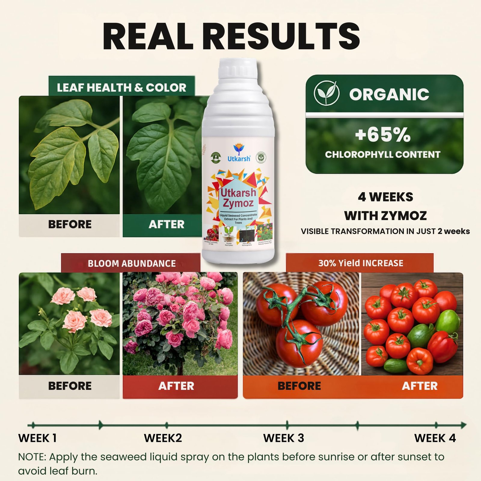 Utkarsh Liquid Seaweed Extract | Organic Plant Growth Promoter for Healthy Plants | Enhances Flowering & Improves Fruit Set | Biostimulant For Home Garden - Zymoz (250 ml; Pack of 1) - Image 8