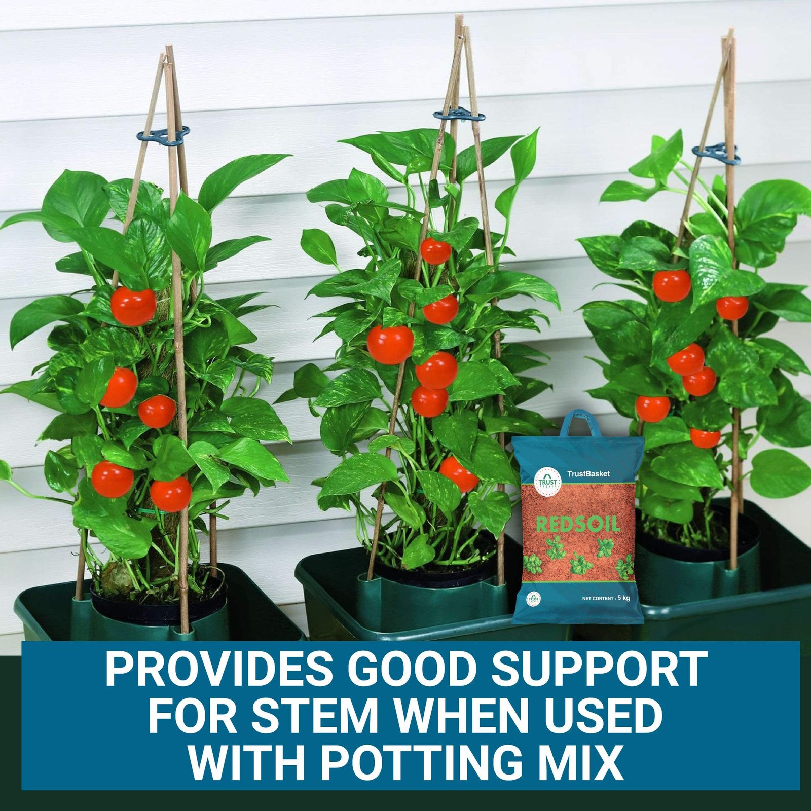 TrustBasket Garden Red Soil - 5 Kg | Fertilizer for Plants | Manure for Home Gardening - Image 3