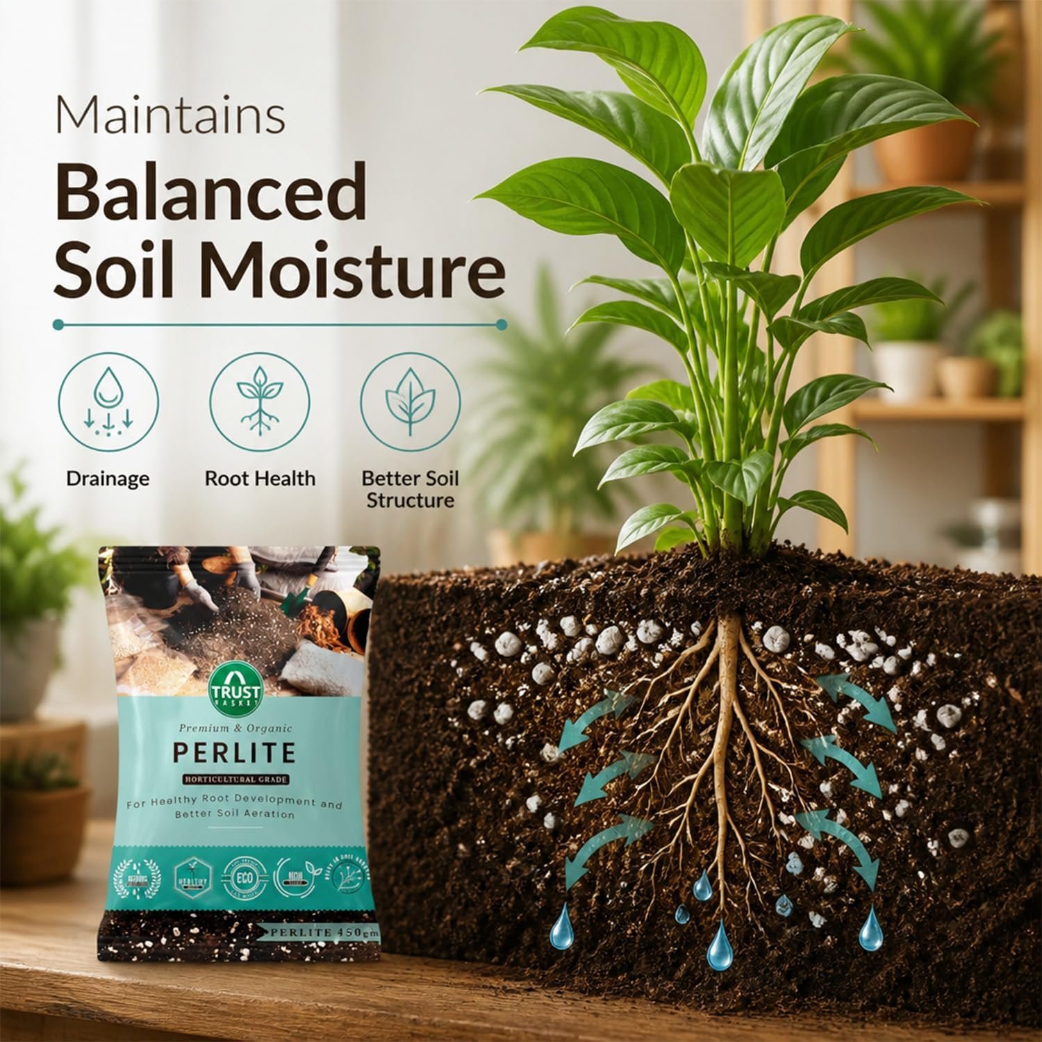TrustBasket Perlite for Plants 450g | Horticultural Grade Perlite | Lightweight Soil Conditioner for Potting Mix | Improves Drainage, Aeration & Root Growth | Indoor, Outdoor & Hydroponic Plants - Image 4