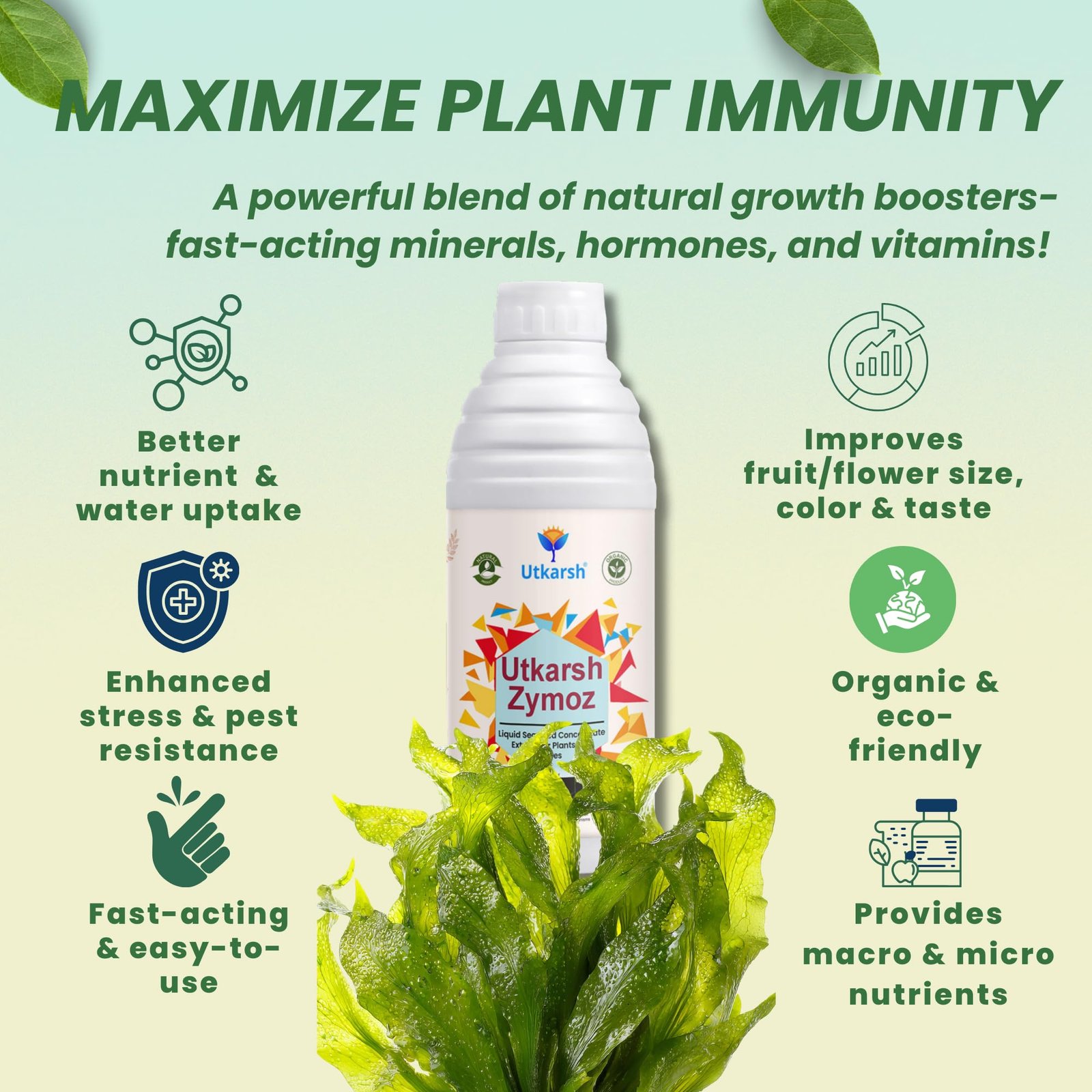 Utkarsh Liquid Seaweed Extract | Organic Plant Growth Promoter for Healthy Plants | Enhances Flowering & Improves Fruit Set | Biostimulant For Home Garden - Zymoz (250 ml; Pack of 1) - Image 5