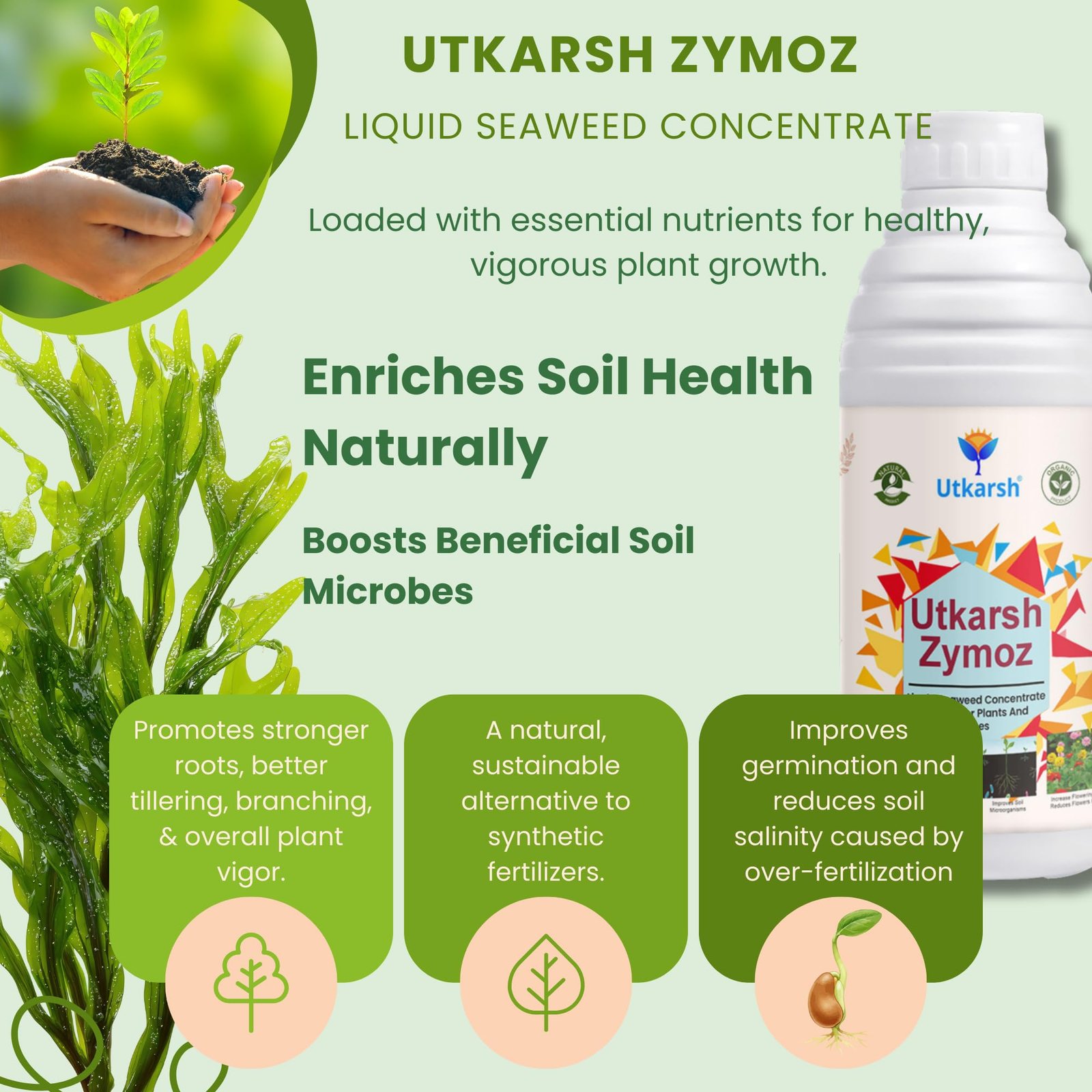 Utkarsh Liquid Seaweed Extract | Organic Plant Growth Promoter for Healthy Plants | Enhances Flowering & Improves Fruit Set | Biostimulant For Home Garden - Zymoz (250 ml; Pack of 1) - Image 4