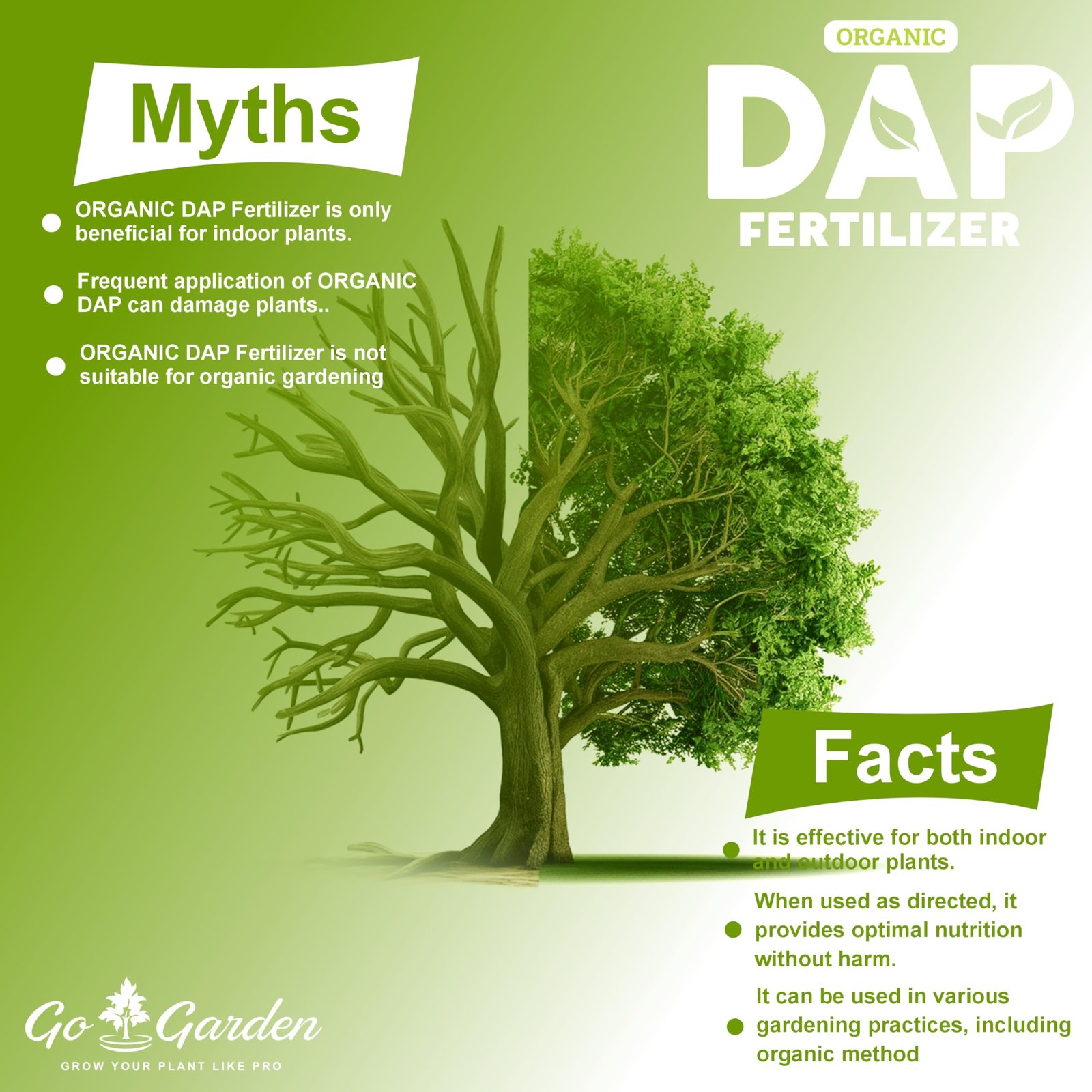 Go Garden Bio DAP Fertilizer for Plants | Organic DAP for Faster Growth, Flowering & Fruiting – Ideal for Home Garden, Indoor & Outdoor Plants 400 Gram Granules - Image 7