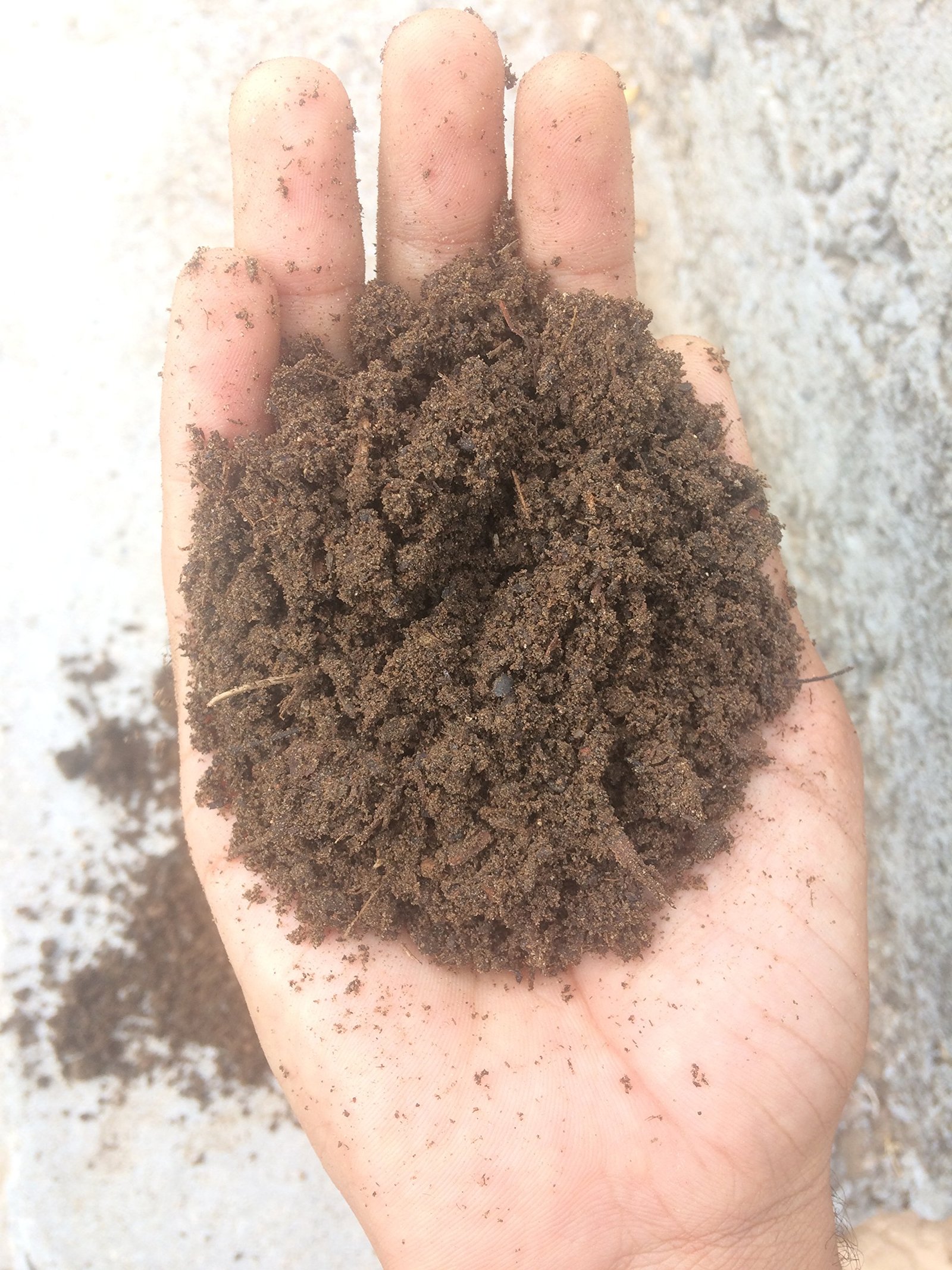 Organic Fertilizer - Image 2