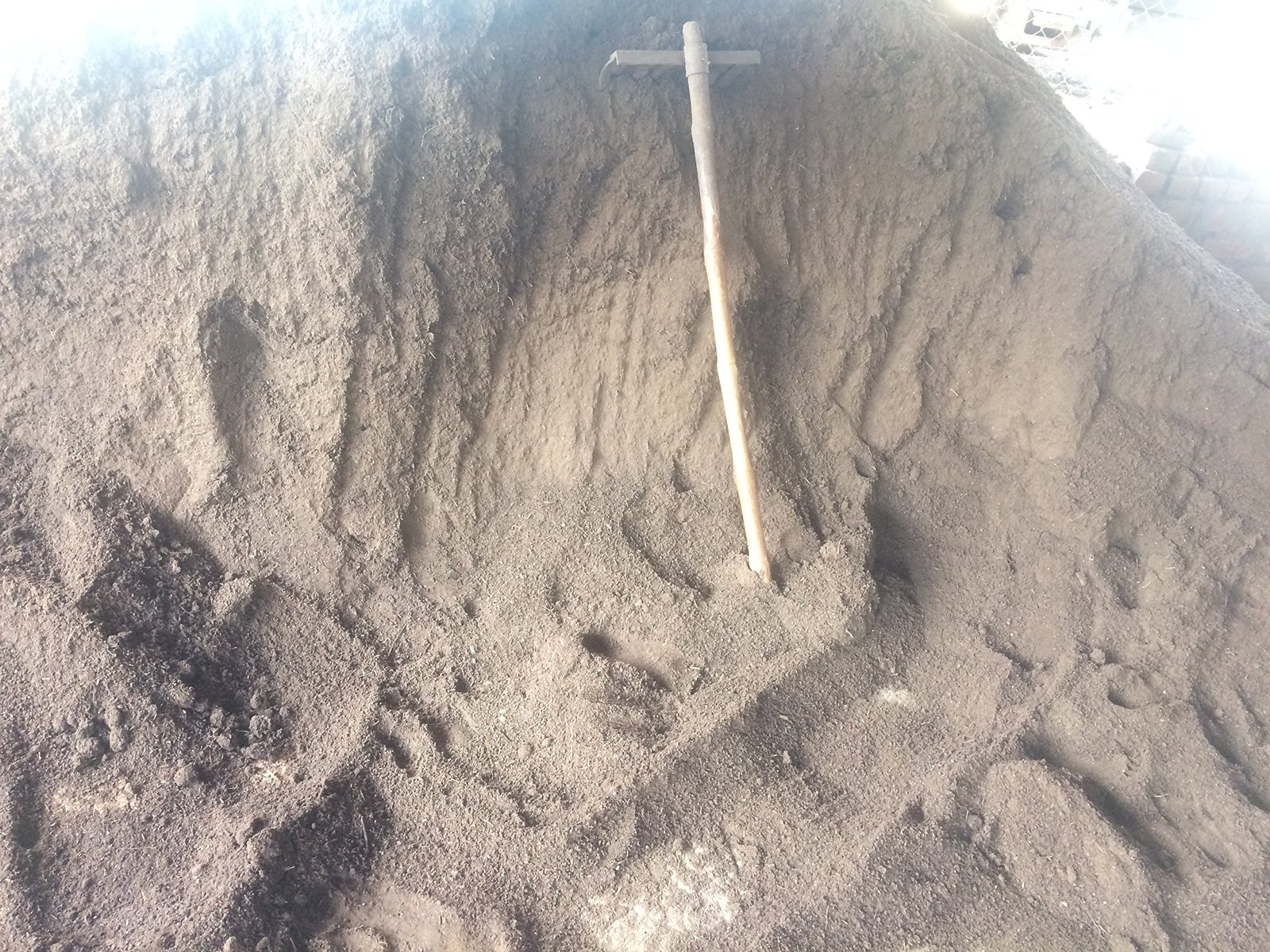 Organic Fertilizer - Image 8